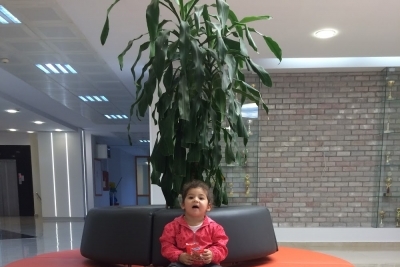 Okyanus Koleji Güzel Sanatlar Ve Spor Lisesi fotoğraf 10
