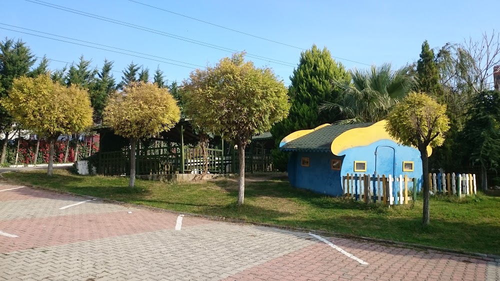 Özel Okyanus Koleji Mimaroba Anaokulu fotoğraf 8