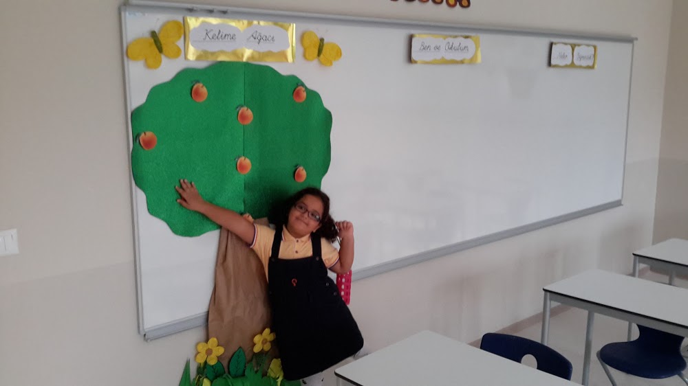 Özel Bahçeşehir Vizyon Koleji Anaokulu Fotoğrafları 4