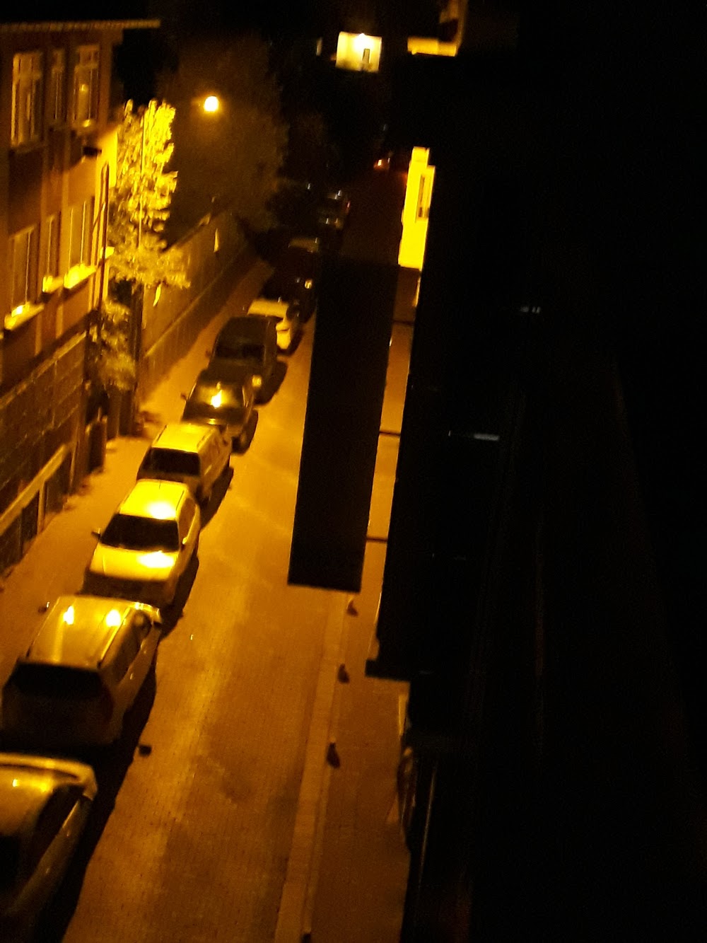 Özel Fındıkzade Can Kardeş Çocuk Köşkleri Anaokulu Fotoğrafları 4