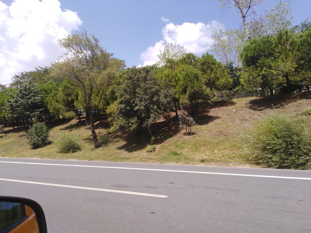 Özel Gaziosmanpaşa Mesleki Ve Teknik Anadolu Lisesi Fotoğrafları 3