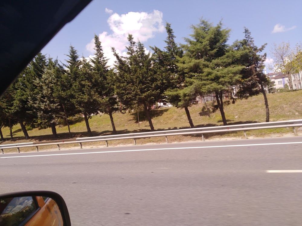 Özel Gaziosmanpaşa Mesleki Ve Teknik Anadolu Lisesi Fotoğrafları 4