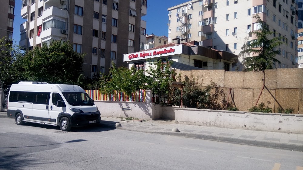 Özel Çilek Ağacı Genius Academy Anaokulu fotoğraf 2