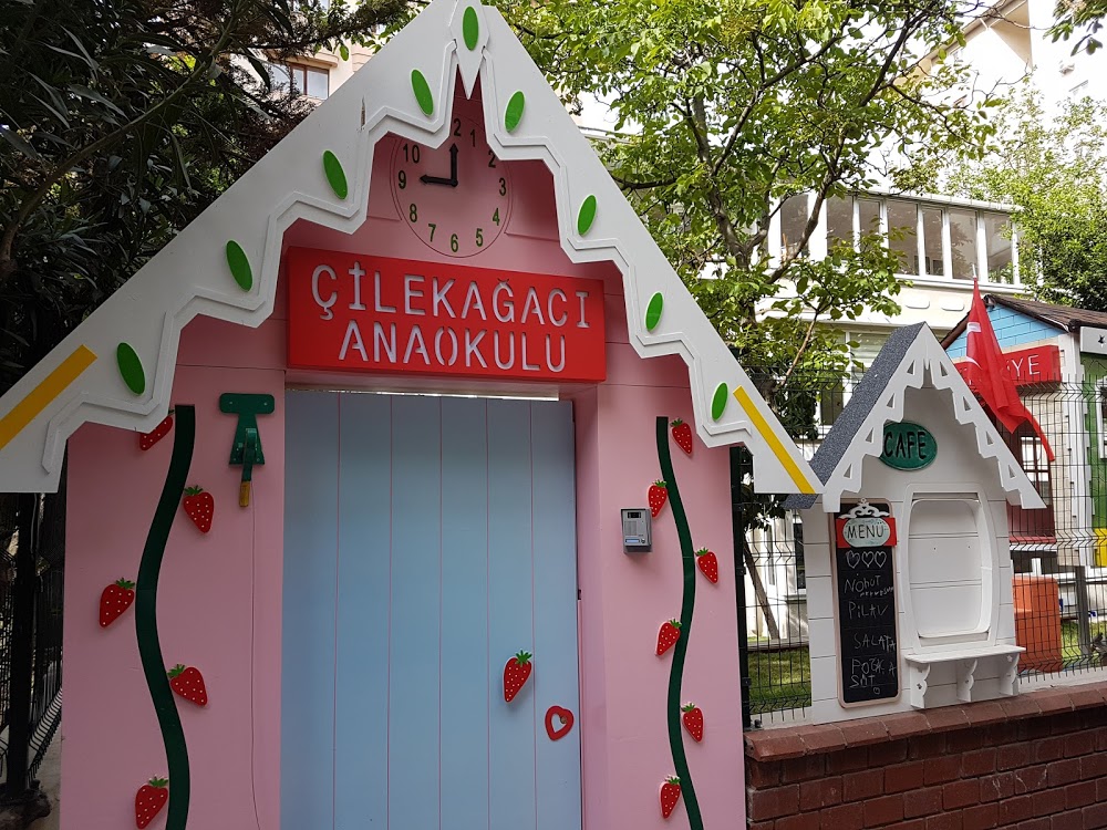 Özel Çilek Ağacı Genius Academy Anaokulu fotoğraf 1