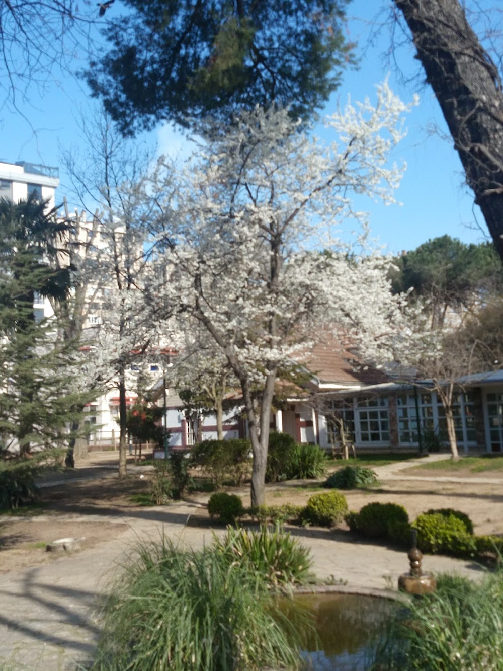 Özel Erenköy Koleji Anaokulu  Fotoğrafları 6