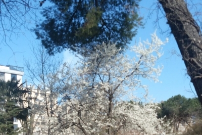 Özel Eyüboğlu Erenköy Anaokulu fotoğraf 6