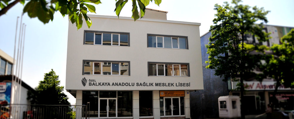 Özel Batı Anadolu Lisesi Fotoğrafları 5