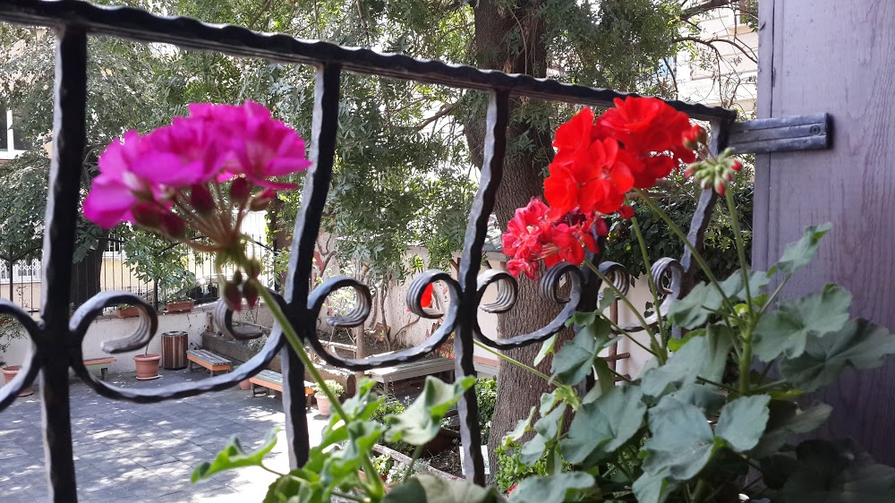 Özel Kadıköy Doğa Koleji Fen Lisesi Fotoğrafları 7