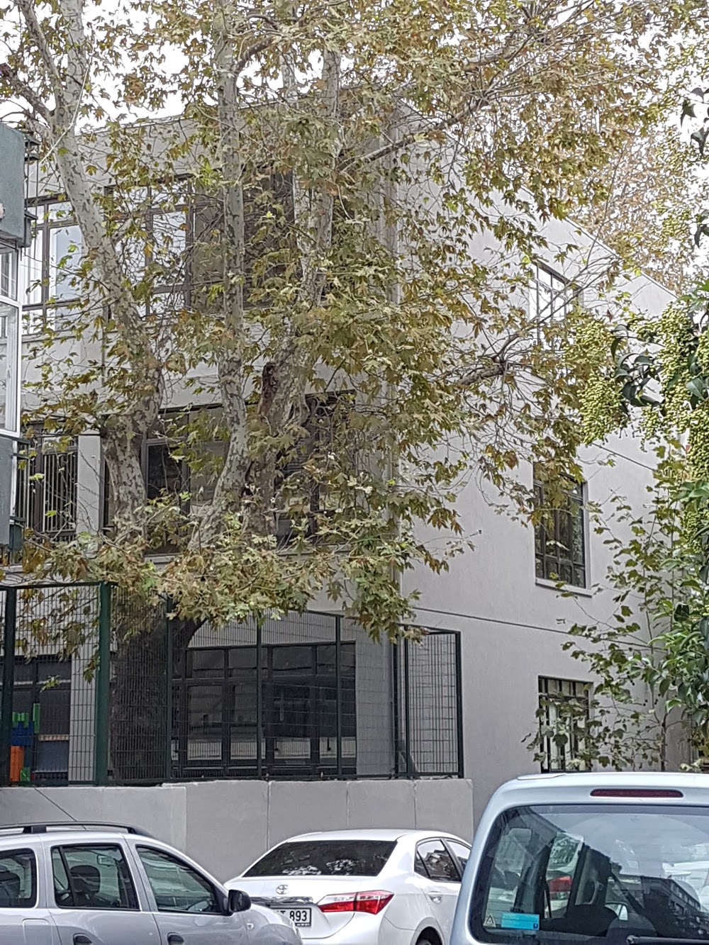 Özel Kadıköy Ortaokulu Fotoğrafları 3