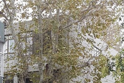 Özel Kadıköy Ortaokulu fotoğraf 3