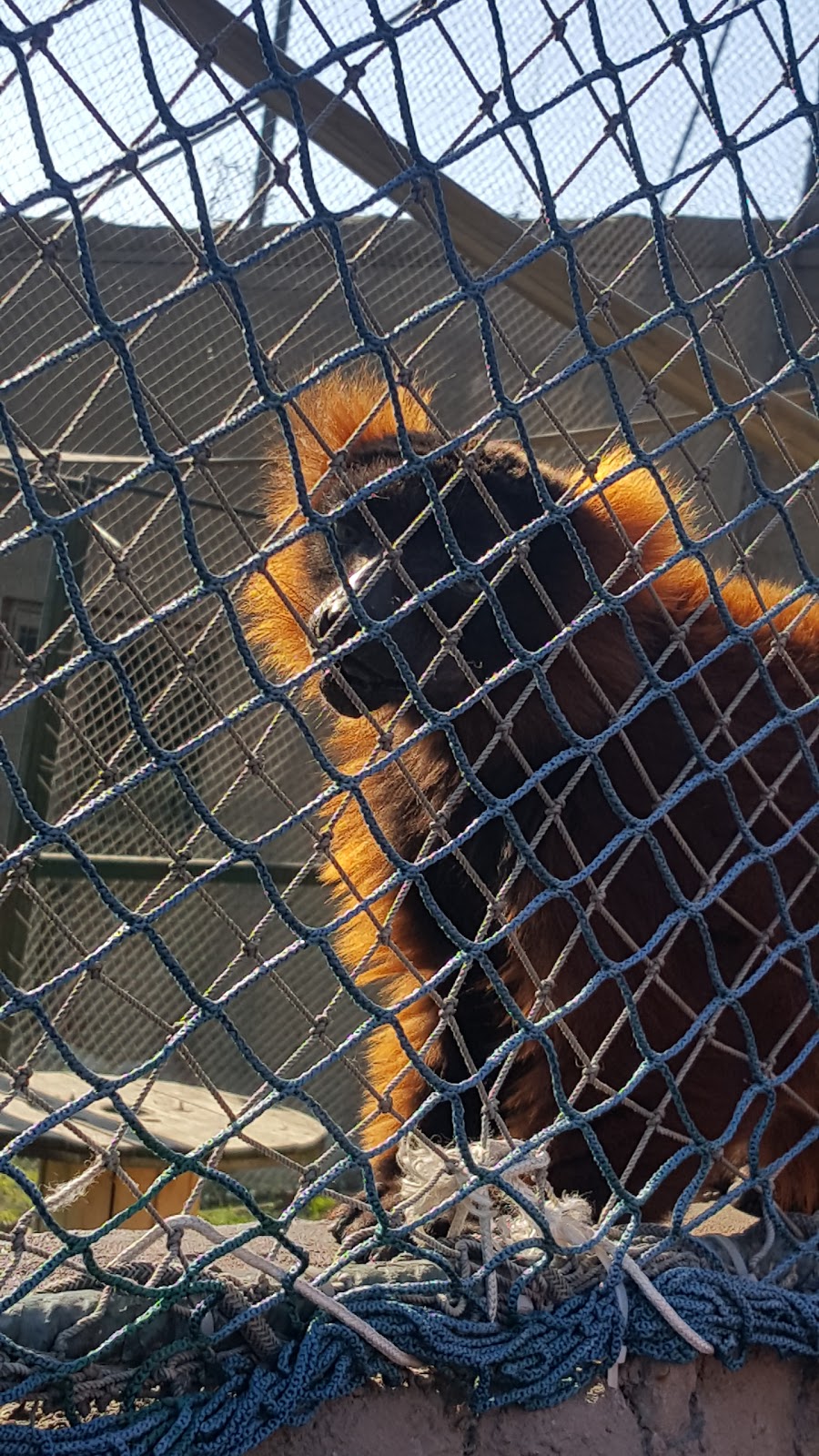 Özel İstanbul Bilim Koleji Ortaokulu Fotoğrafları 3