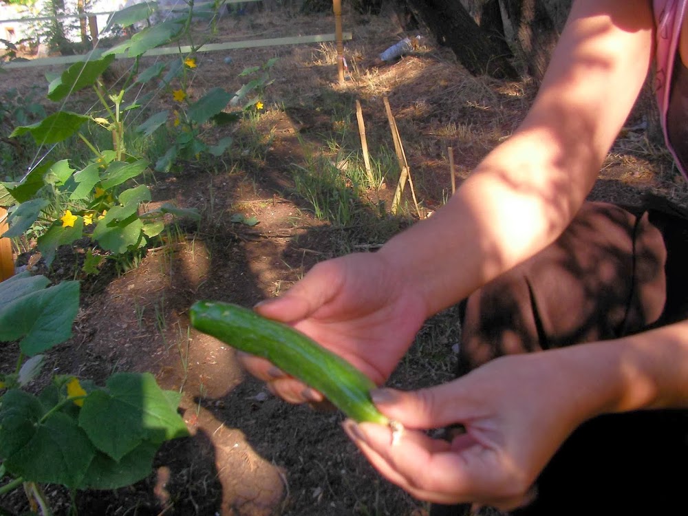 Özel Kırmızı Şeker Anaokulu Fotoğrafları 4