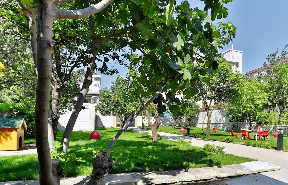 Özel Çağın Öncüsü Koleji Anadolu Sağlık Meslek Lisesi Fotoğrafları 1