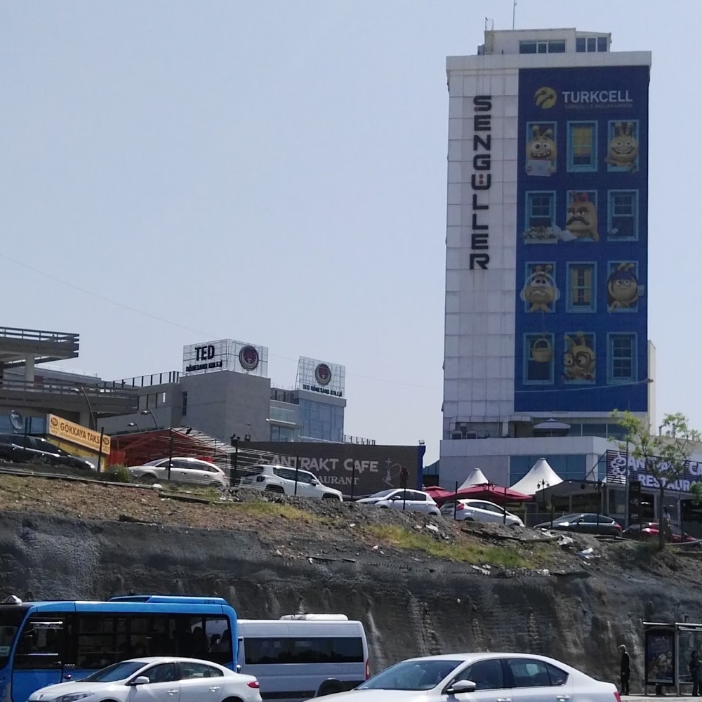 TED Rönesans Koleji Ortaokulu Fotoğrafları 2