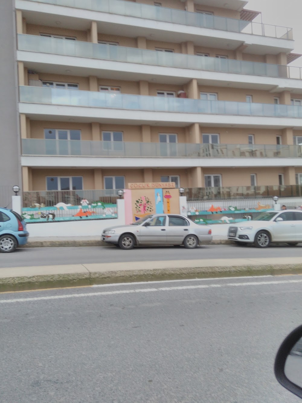 Özel Çocuk Dünya Akademisi  Fotoğrafları 1