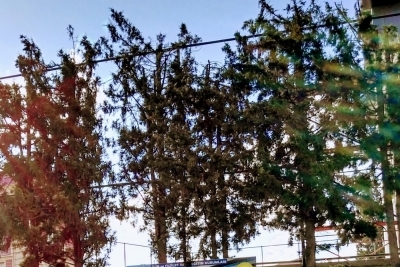 Özel Pendik İkbal Koleji Ortaokulu fotoğraf 2