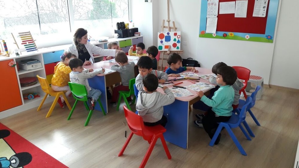Özel Çocuk Sanatı Anaokulu Fotoğrafları 2
