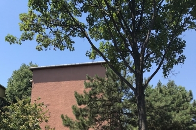 Özel Elçi Mesleki Ve Teknik Anadolu Lisesi fotoğraf 5
