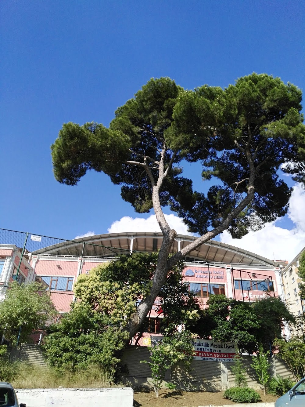 Özel Nasibe Eryetiş Anadolu Sağlık Meslek Lisesi Fotoğrafları 4