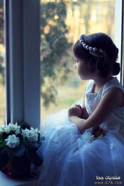 Özel Darüşşafaka Eğitim Kurumları Ortaokulu Fotoğrafları 5