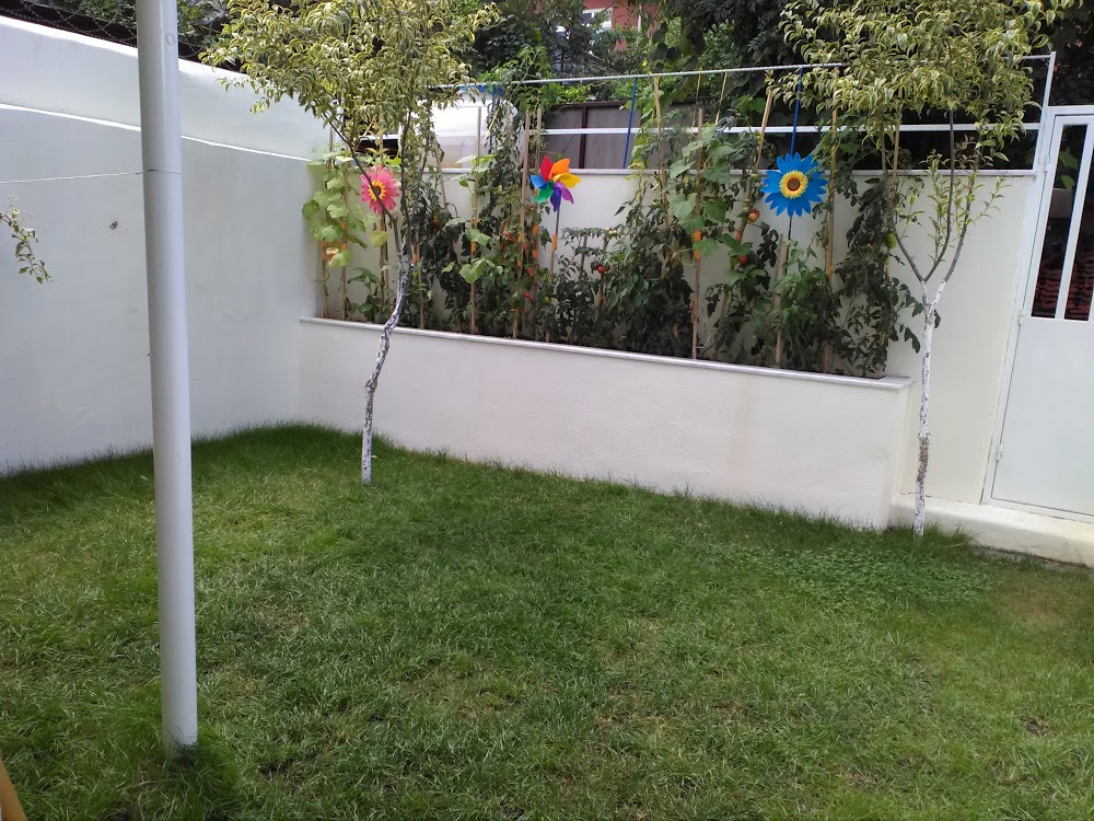 Özel Mecidiyeköy Anaokulu  Fotoğrafları 6