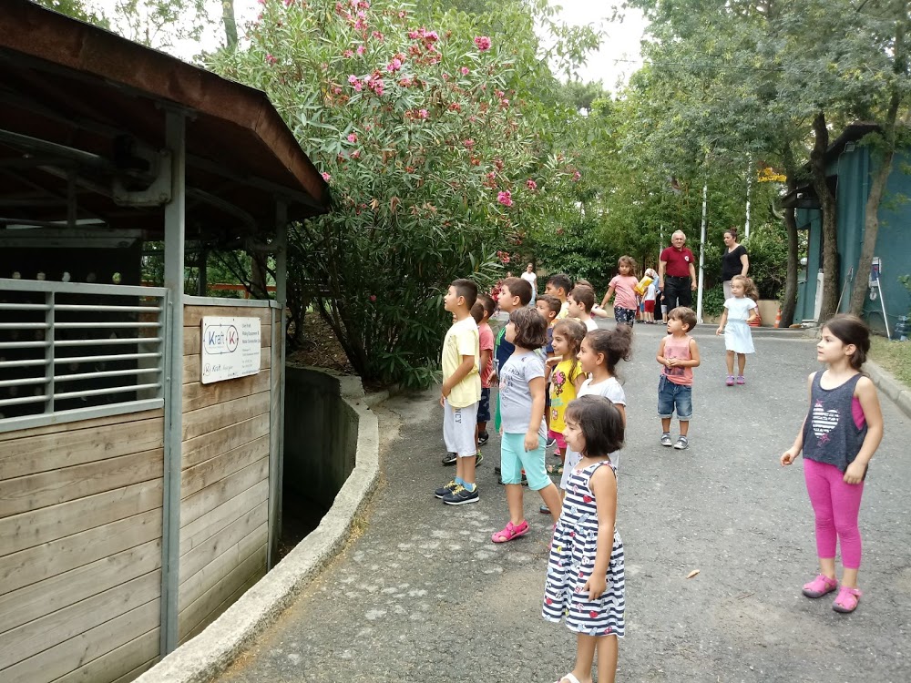 Özel Pembe Balon Anaokulu fotoğraf 2