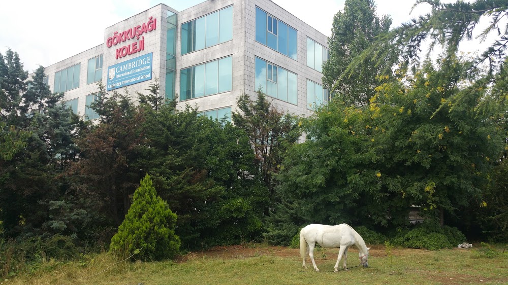 Özel Gökkuşağı Koleji Anadolu Lisesi Fotoğrafları 7