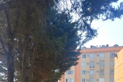 Özel Gökkuşağı Koleji Ortaokulu fotoğraf 2