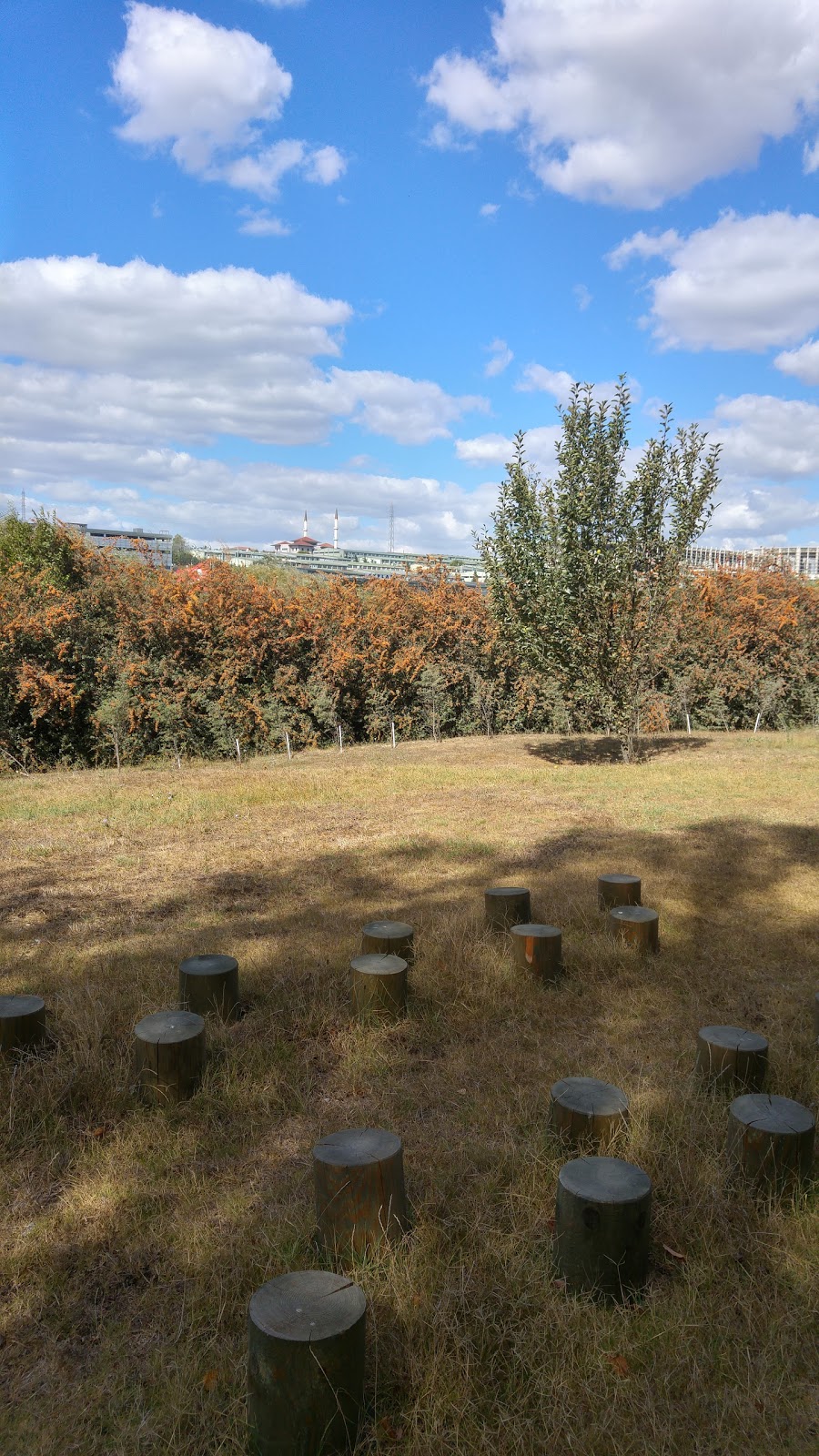 Özel Gökkuşağı Koleji Ortaokulu Fotoğrafları 7