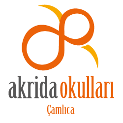 Akrida Okulları Çamlıca Anaokulu fotoğraf 3