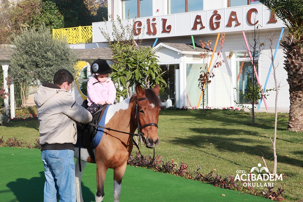 Özel Gül Ağacı Gündüz Bakım Evi Fotoğrafları 1