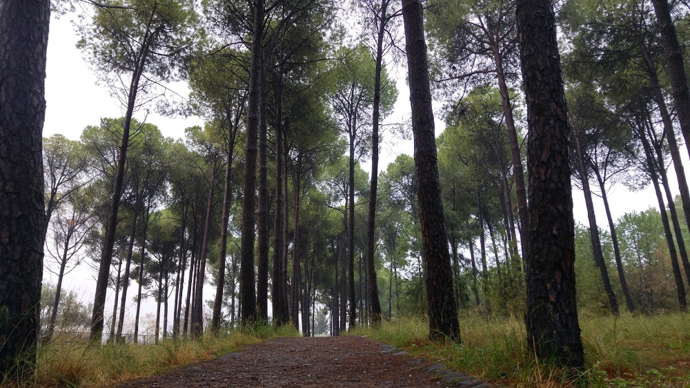 Özel Bornova Anadolu Lisesi Fotoğrafları 2