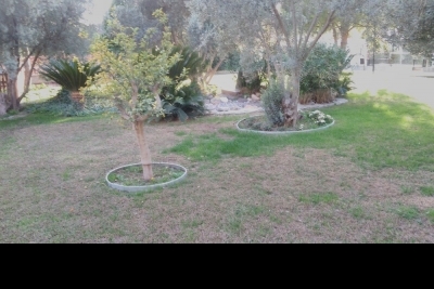 Özel Ege Lisesi fotoğraf 2