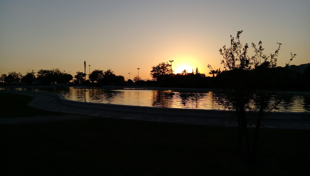 Özel Türk Koleji Anadolu Lisesi Fotoğrafları 8
