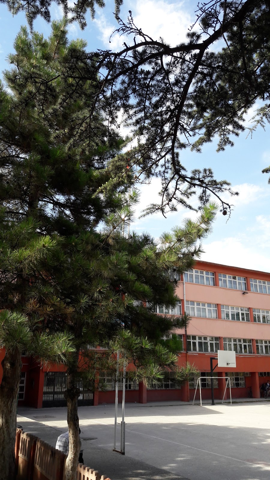 Çukurova Hoca Ahmet Yesevi İlkokulu Fotoğrafları 5