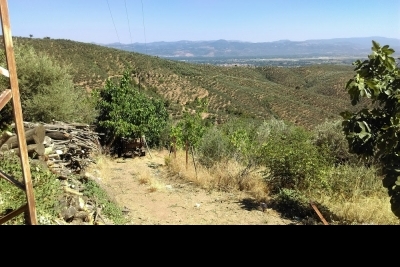 Eşrefli İlkokulu fotoğraf 11