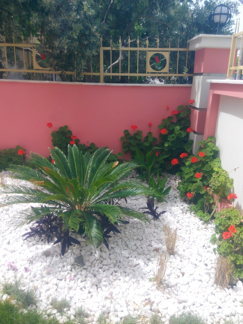 Özel Manisa Lalebahçesi Anaokulu Fotoğrafları 3