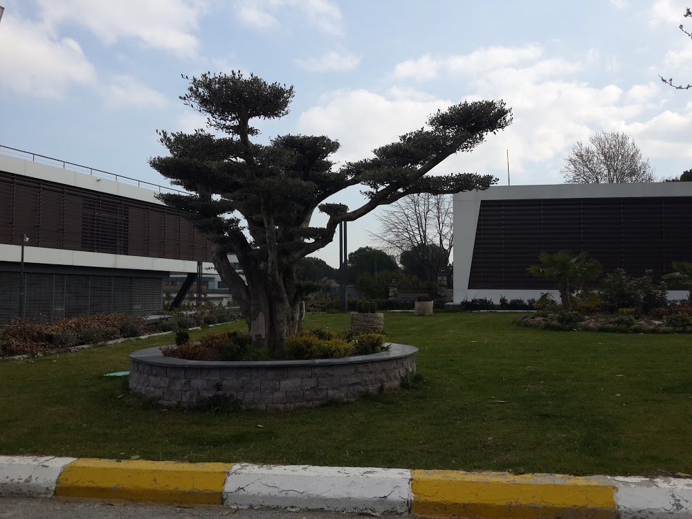 Özel Manisa Organize Sanayi Bölgesi Anaokulu Fotoğrafları 1