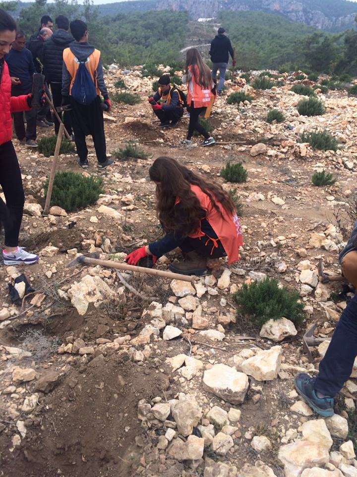 Özel Erdemli Birey Temel Lisesi Fotoğrafları 7