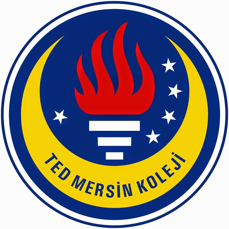 Ted Mersin Koleji Özel İlkokulu Fotoğrafları 7