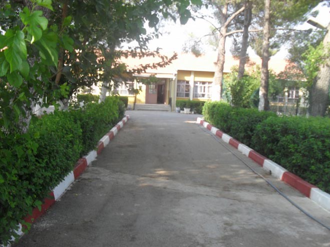 Oğlananası Ortaokulu kampüs fotoğrafı