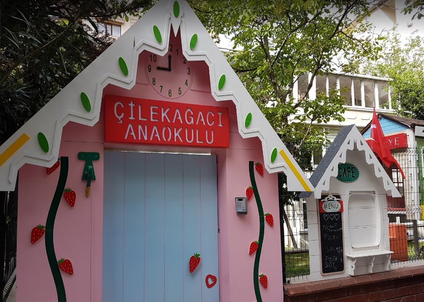 Özel Çilek Ağacı Genius Academy Anaokulu kampüs fotoğrafı