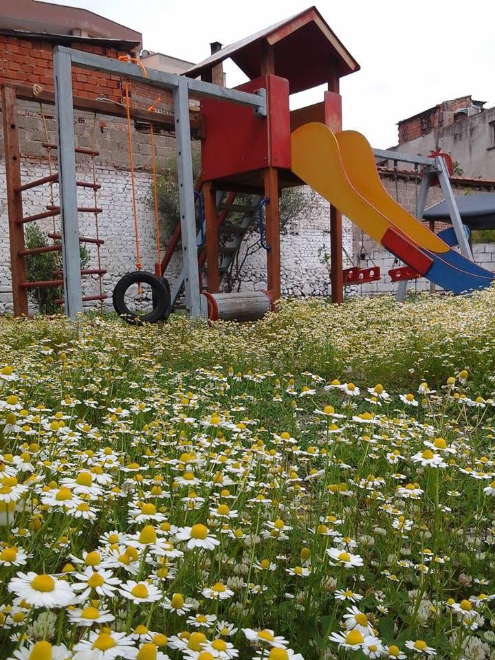 Özel Kelebeğim Anaokulu kampüs fotoğrafı