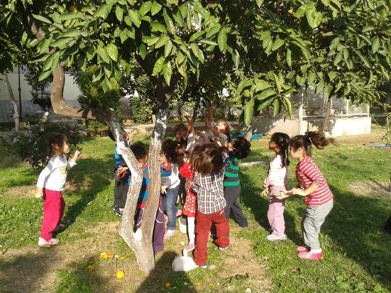 Özel Uçan Balon Anaokulu kampüs fotoğrafı