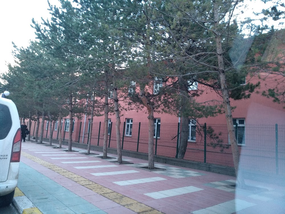 Ağrı Mimar Sinan Mesleki Ve Teknik Anadolu Lisesi Fotoğrafları 2